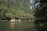 A group of happy tourists paddling canoes on a calm river surrounded by lush Atlantic Forest.