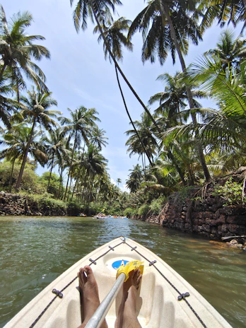Kayaking through the lush mangroves of Génipa under a bright blue sky.