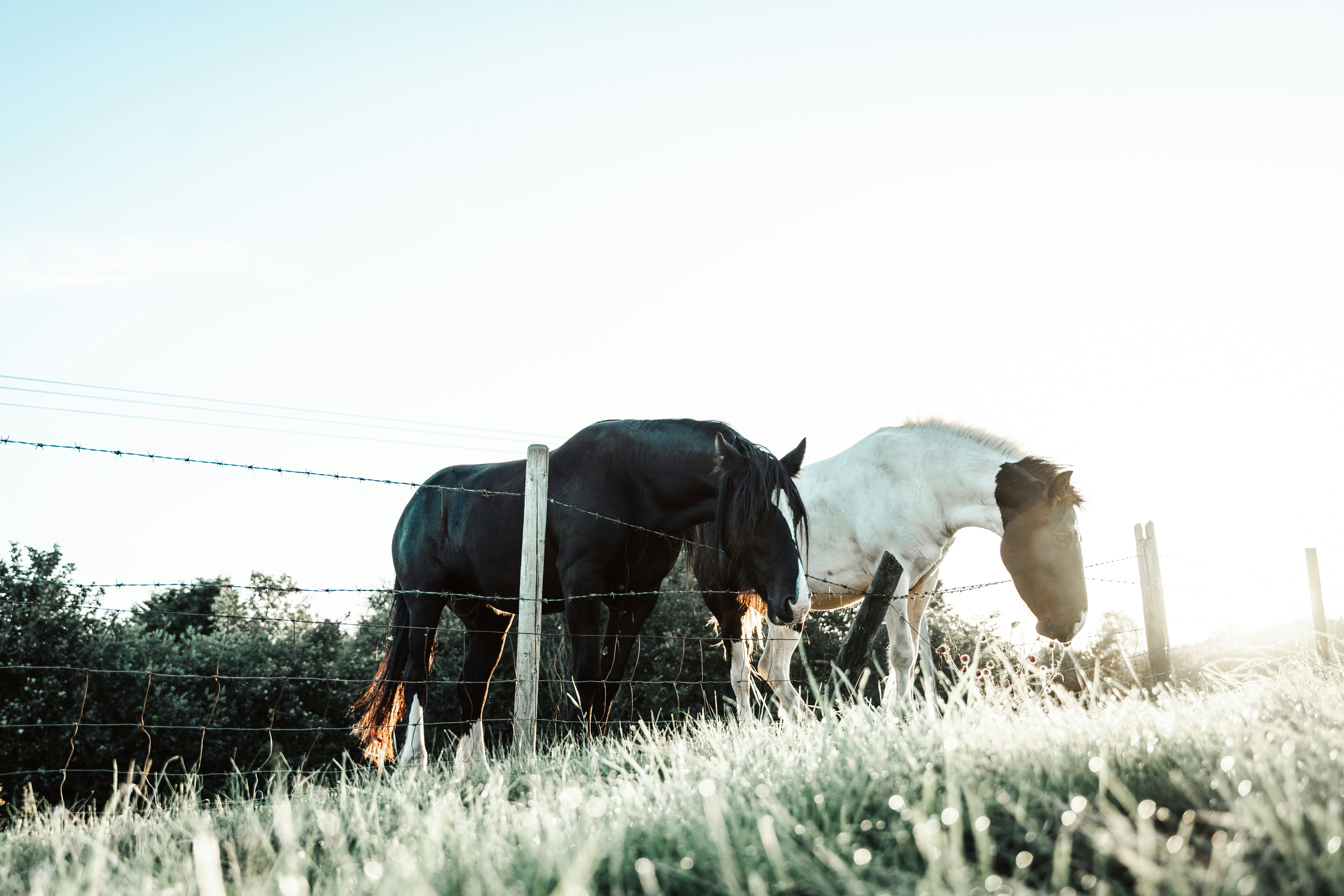 Photo by dixitdhinakaran