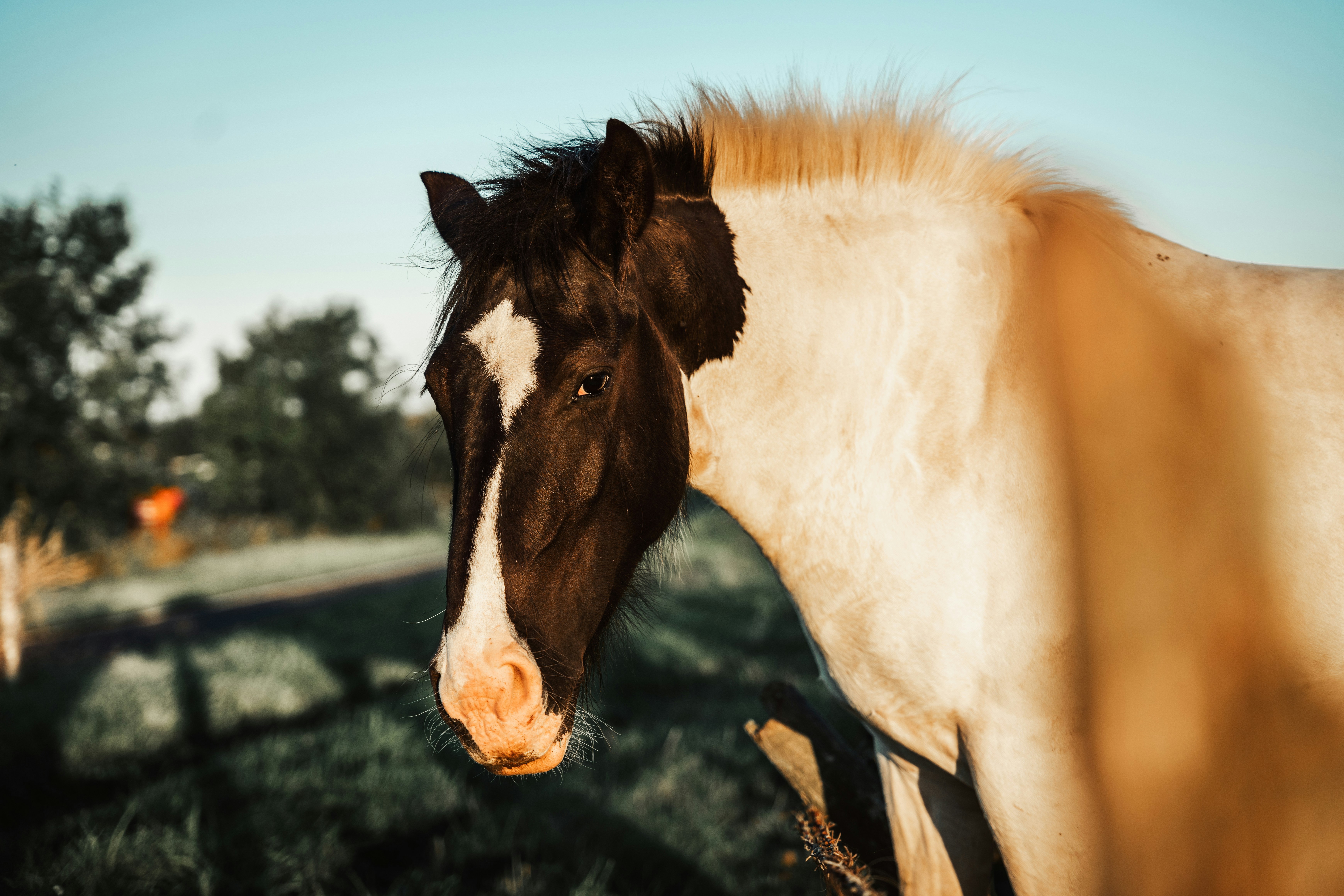 Photo by dixitdhinakaran