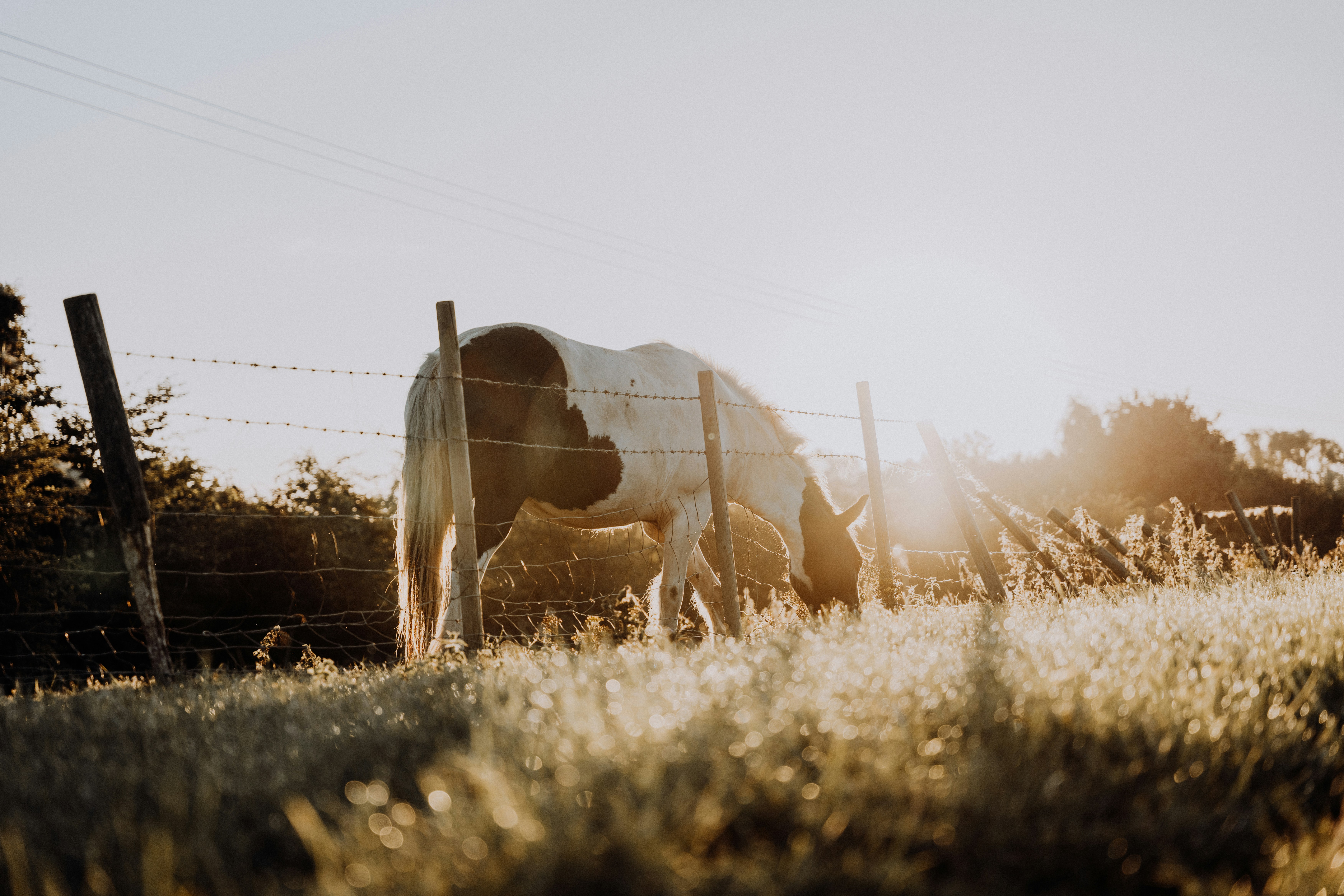 Photo by dixitdhinakaran