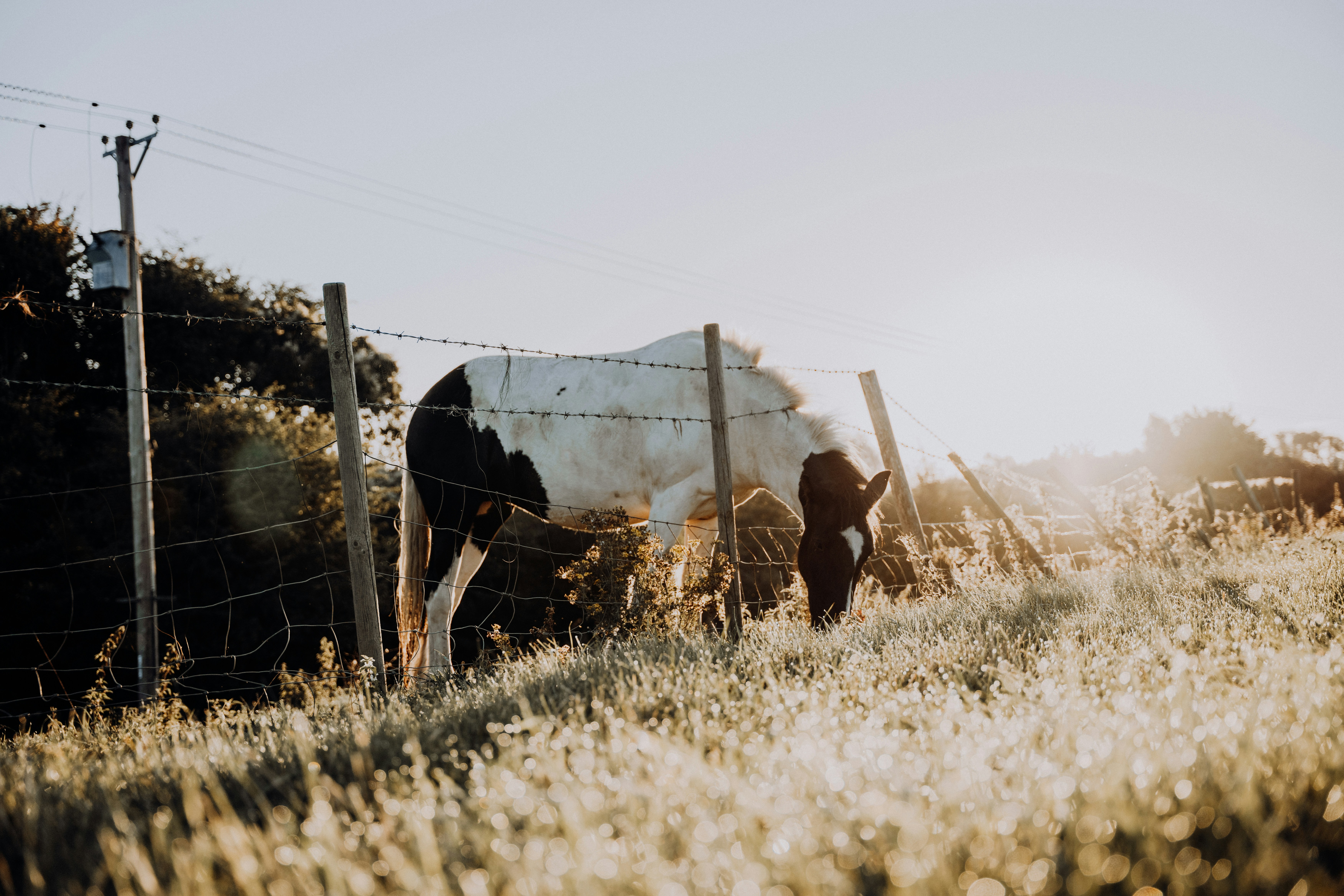 Photo by dixitdhinakaran