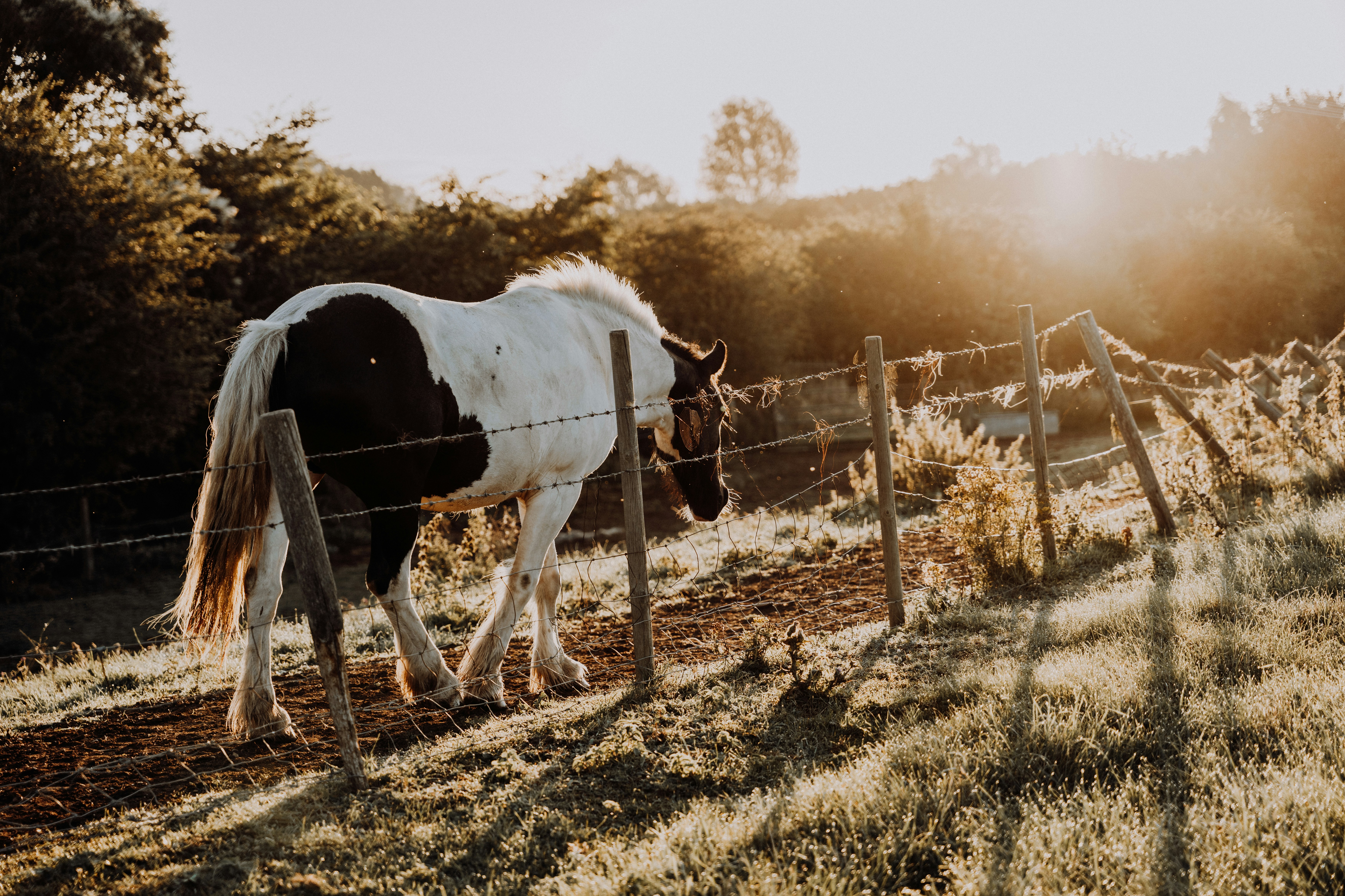 Photo by dixitdhinakaran