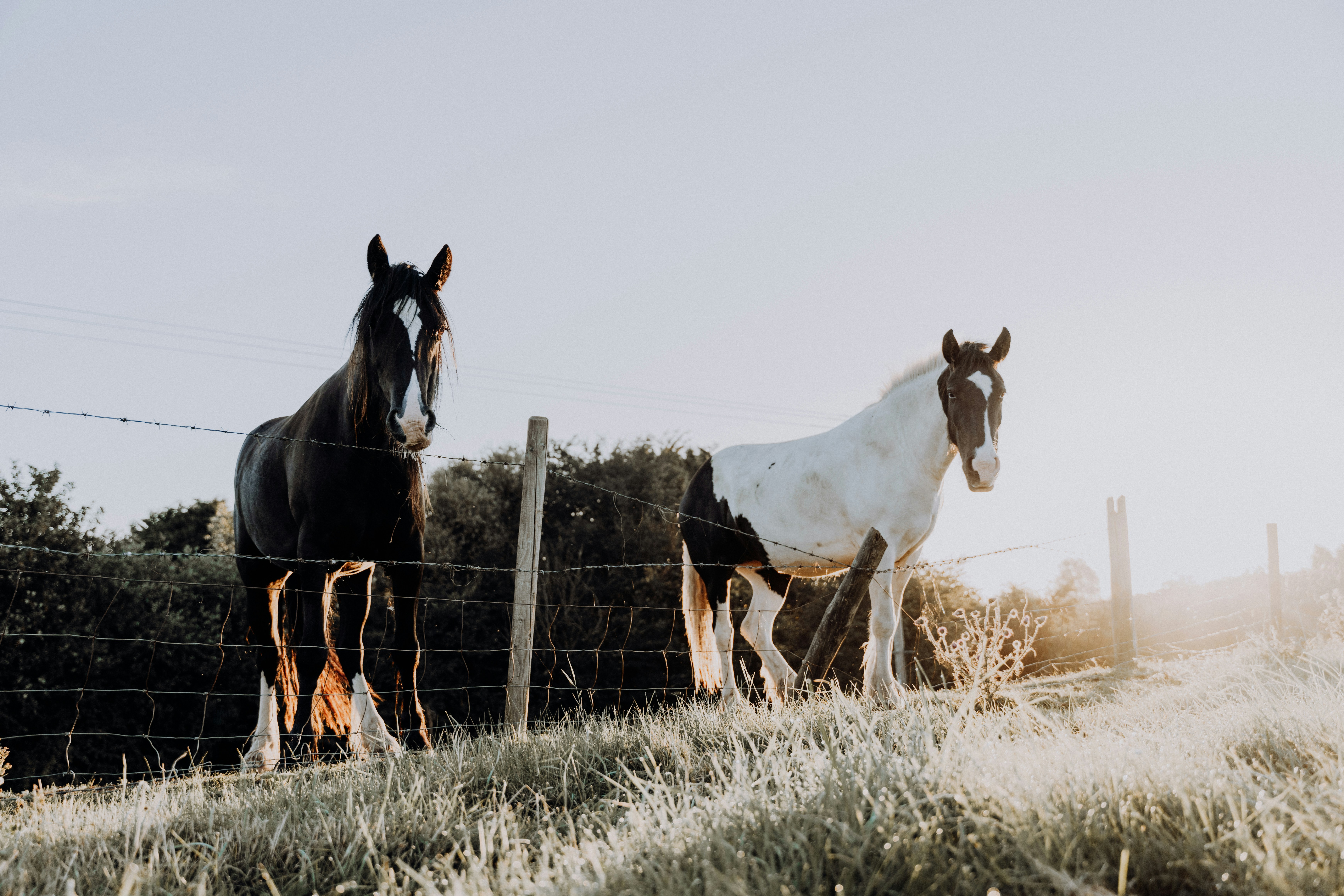 Photo by dixitdhinakaran