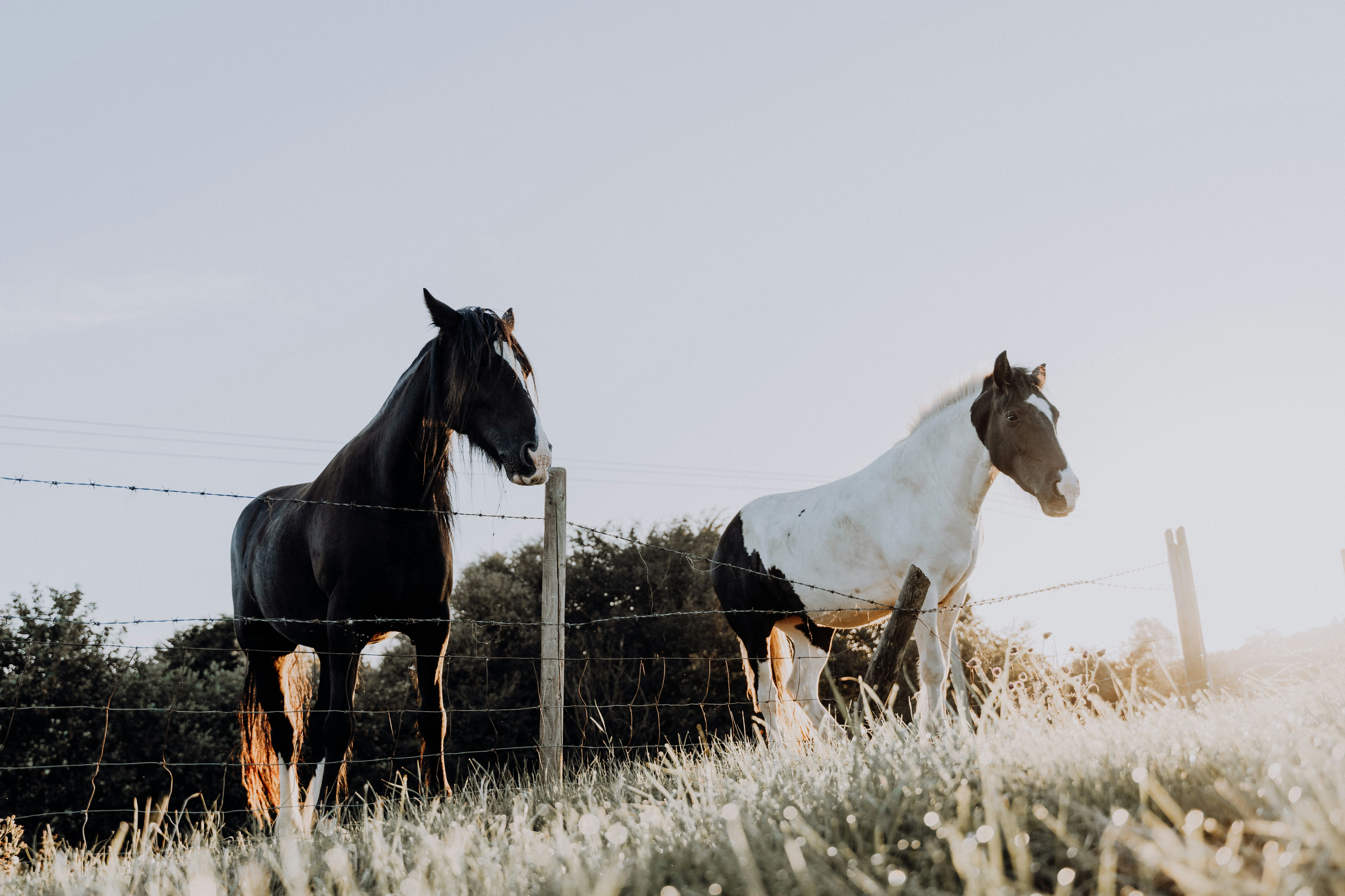 Photo by dixitdhinakaran