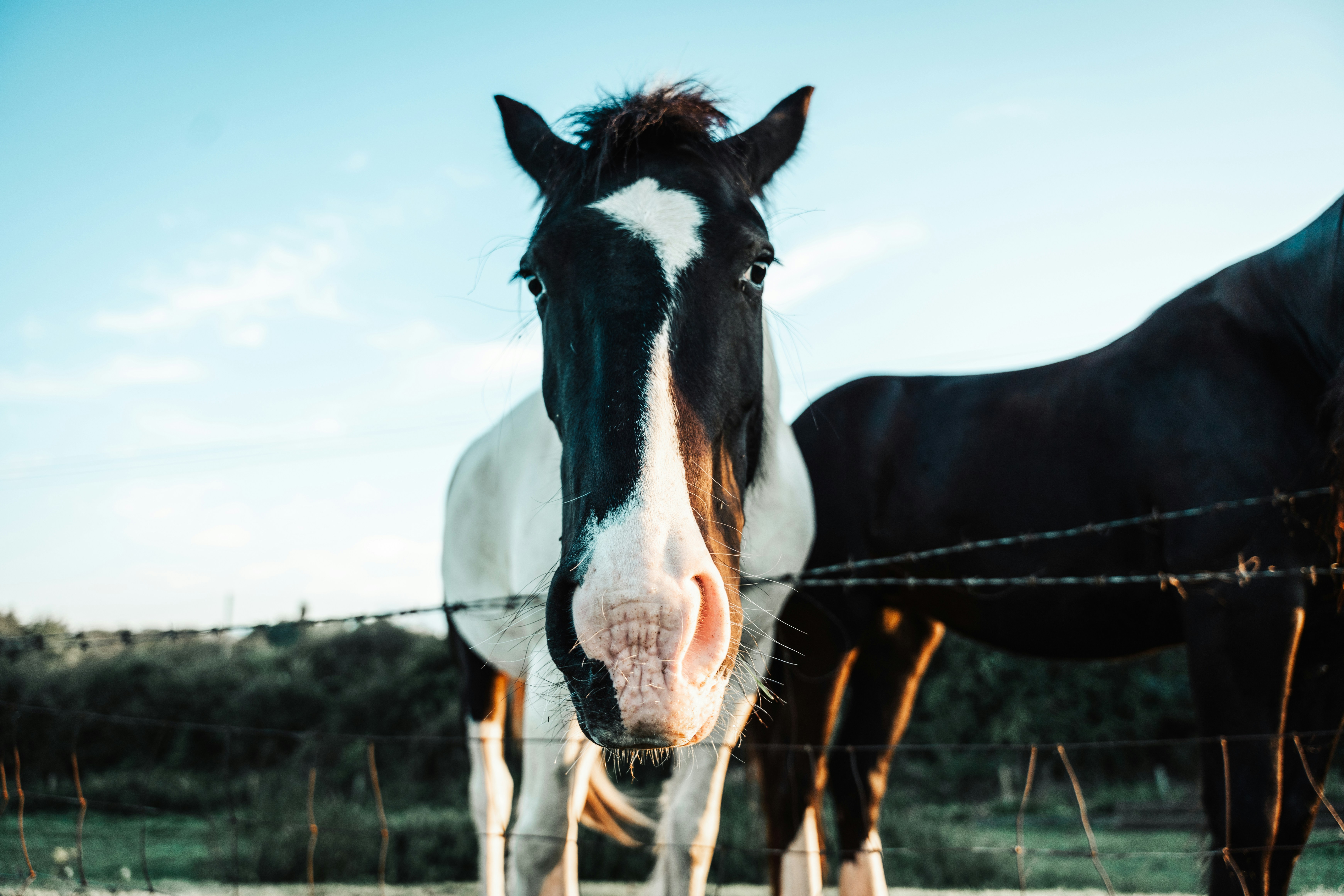 Photo by dixitdhinakaran