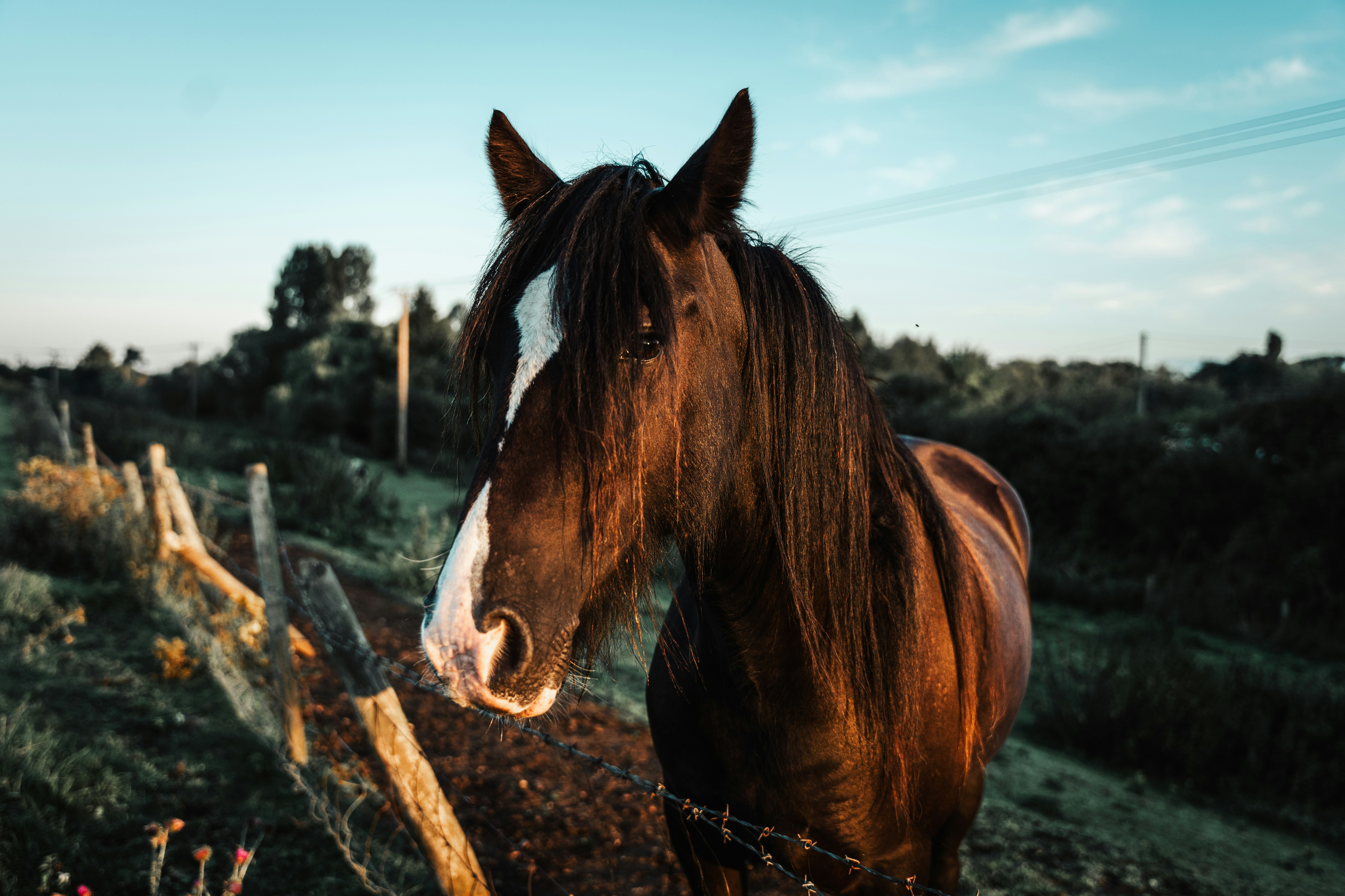 Photo by dixitdhinakaran