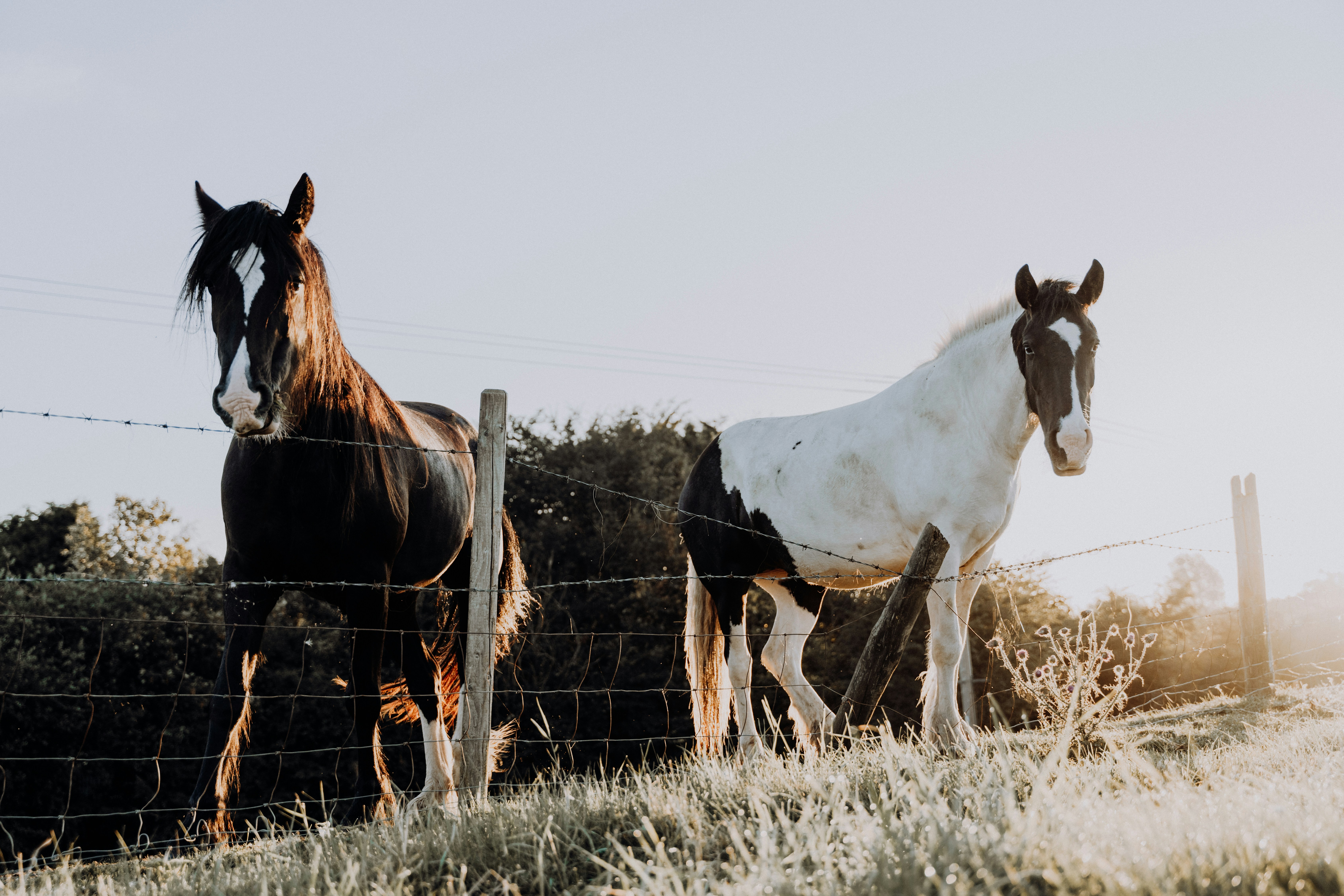 Photo by dixitdhinakaran