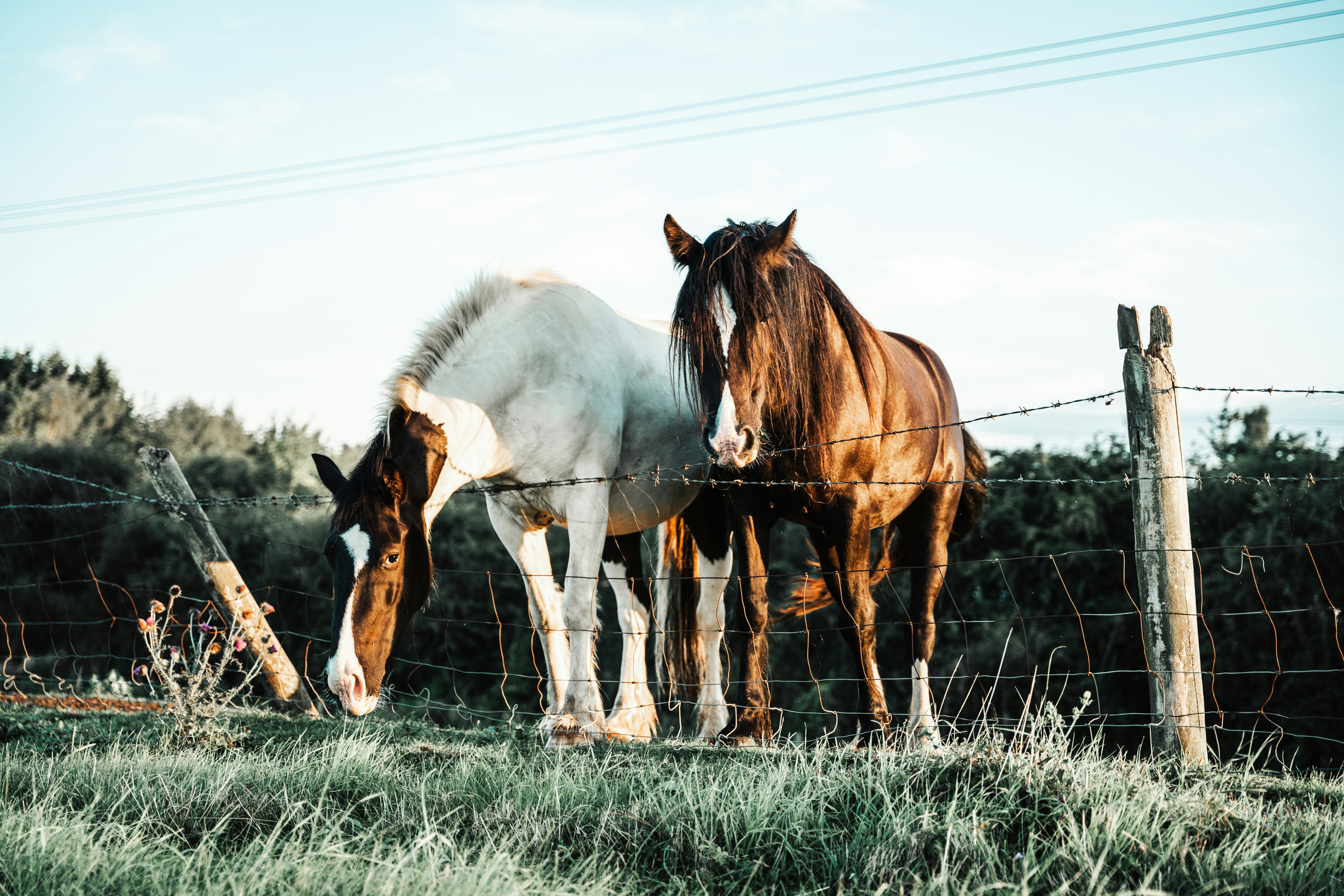 Photo by dixitdhinakaran