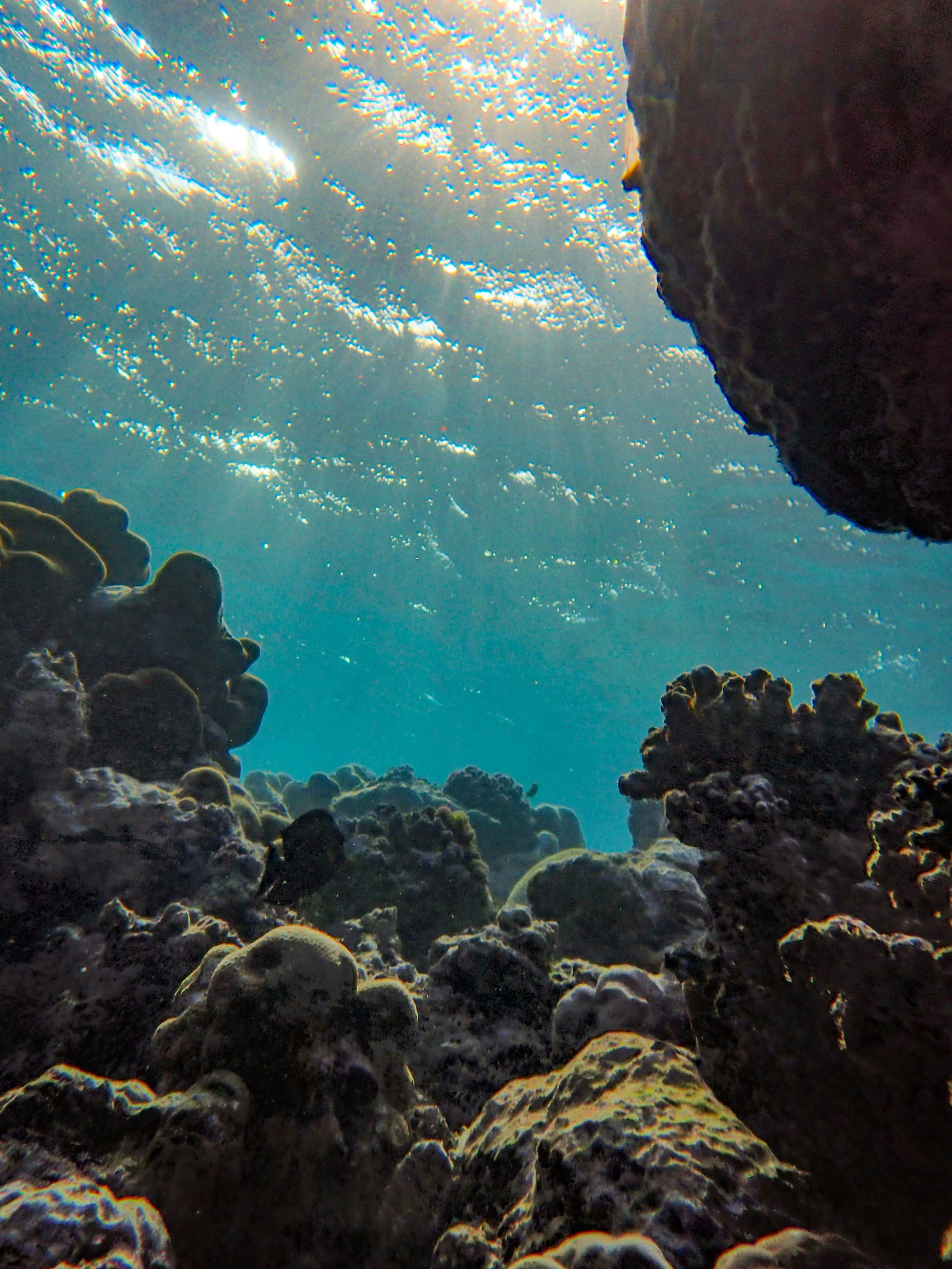 Photo by francesco_ungaro