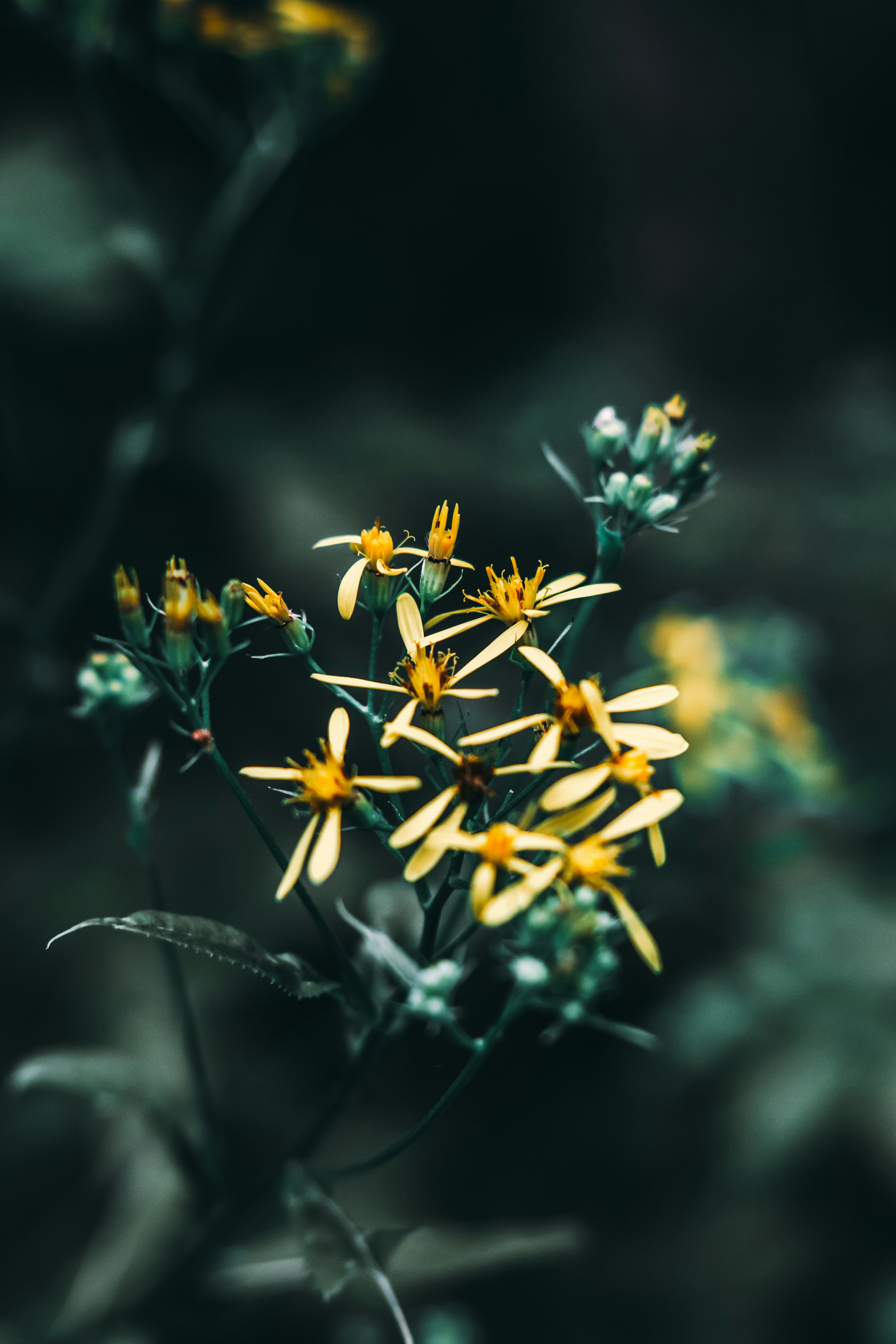 Photo by wojtekpaczes