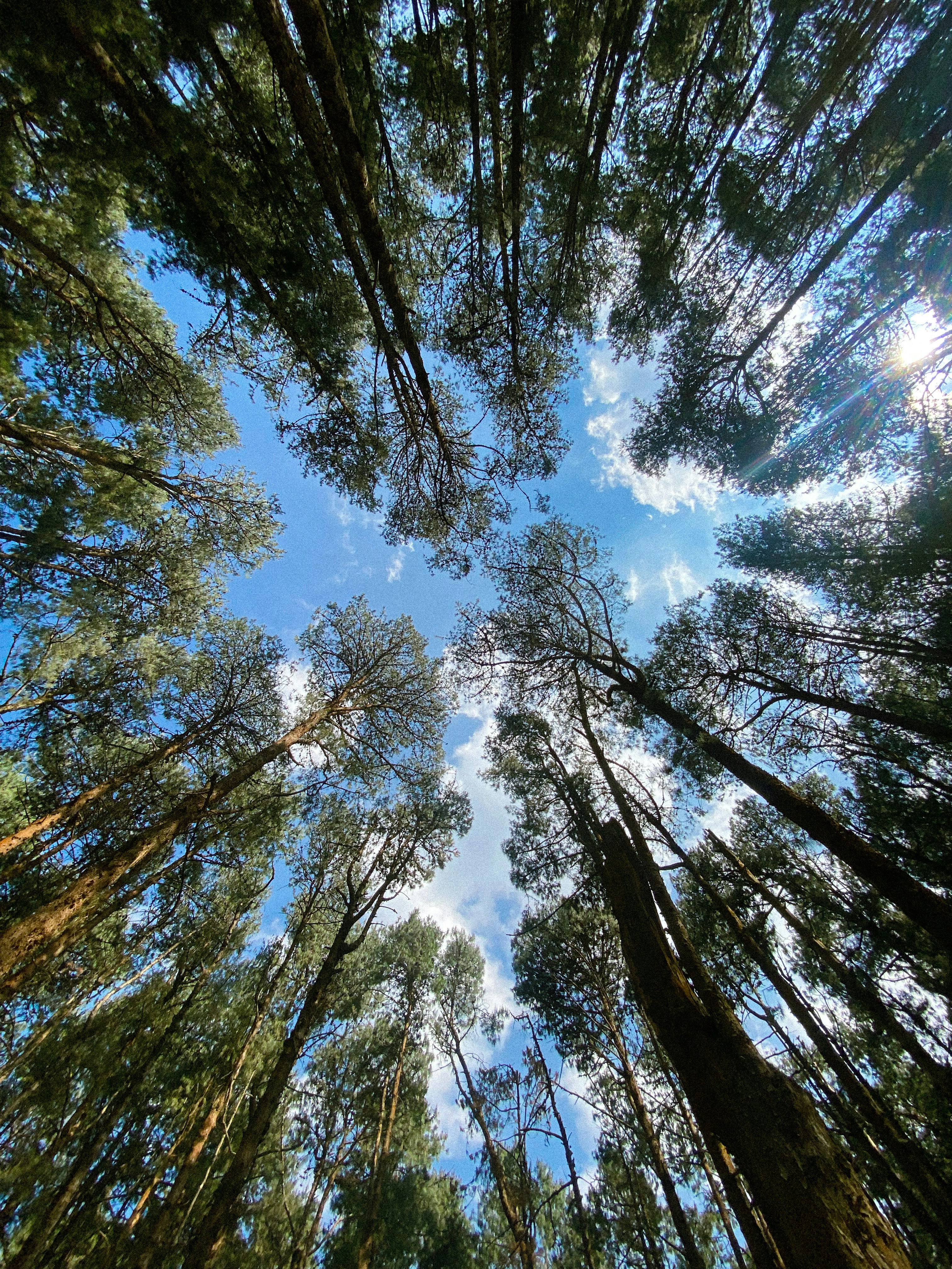 Photo by vshrutisaini