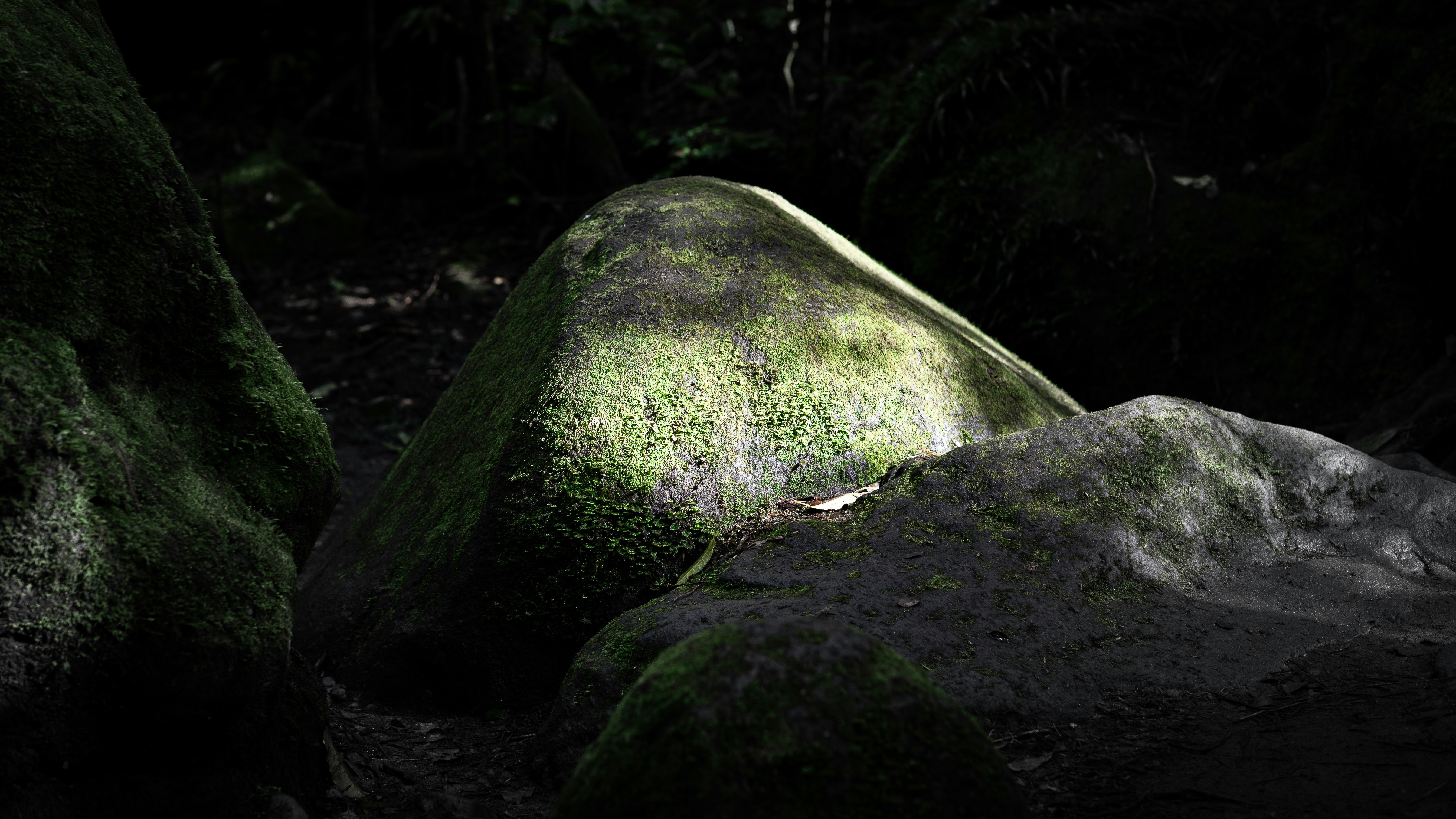 a moss covered rock in the middle of a forest