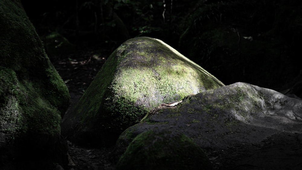 a moss covered rock in the middle of a forest