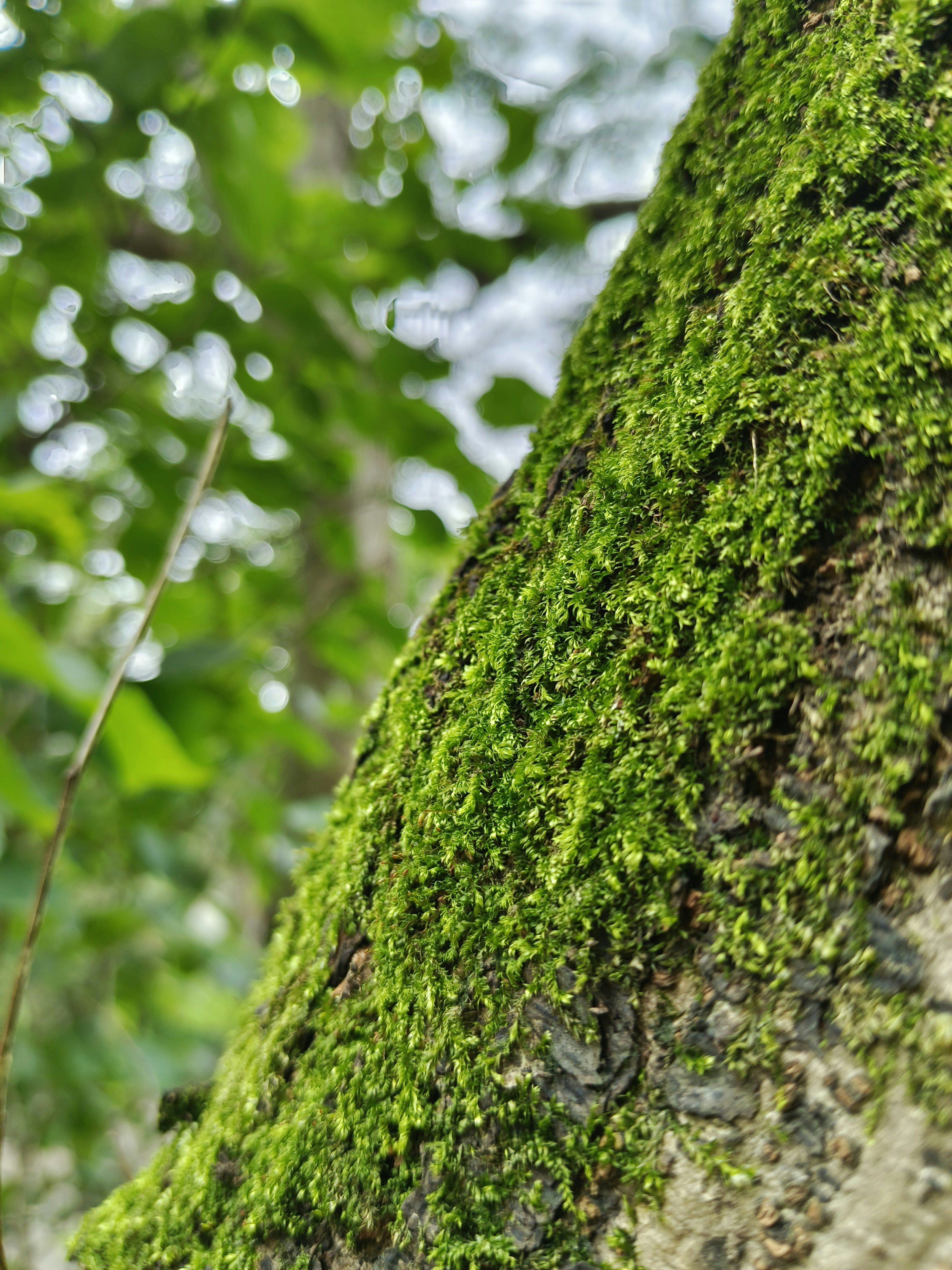 Photo by abhishek_05