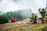 Firefighters in full gear, including helmets and oxygen tanks, are positioned on the ground near hoses, facing a scene with smoke rising in the background. The setting is outdoors, with a mix of grassy and dirt terrain, and a forested area providing a backdrop. A red and gray armchair sits in stark contrast amidst the scenery. A yellow vehicle is visible in the background.