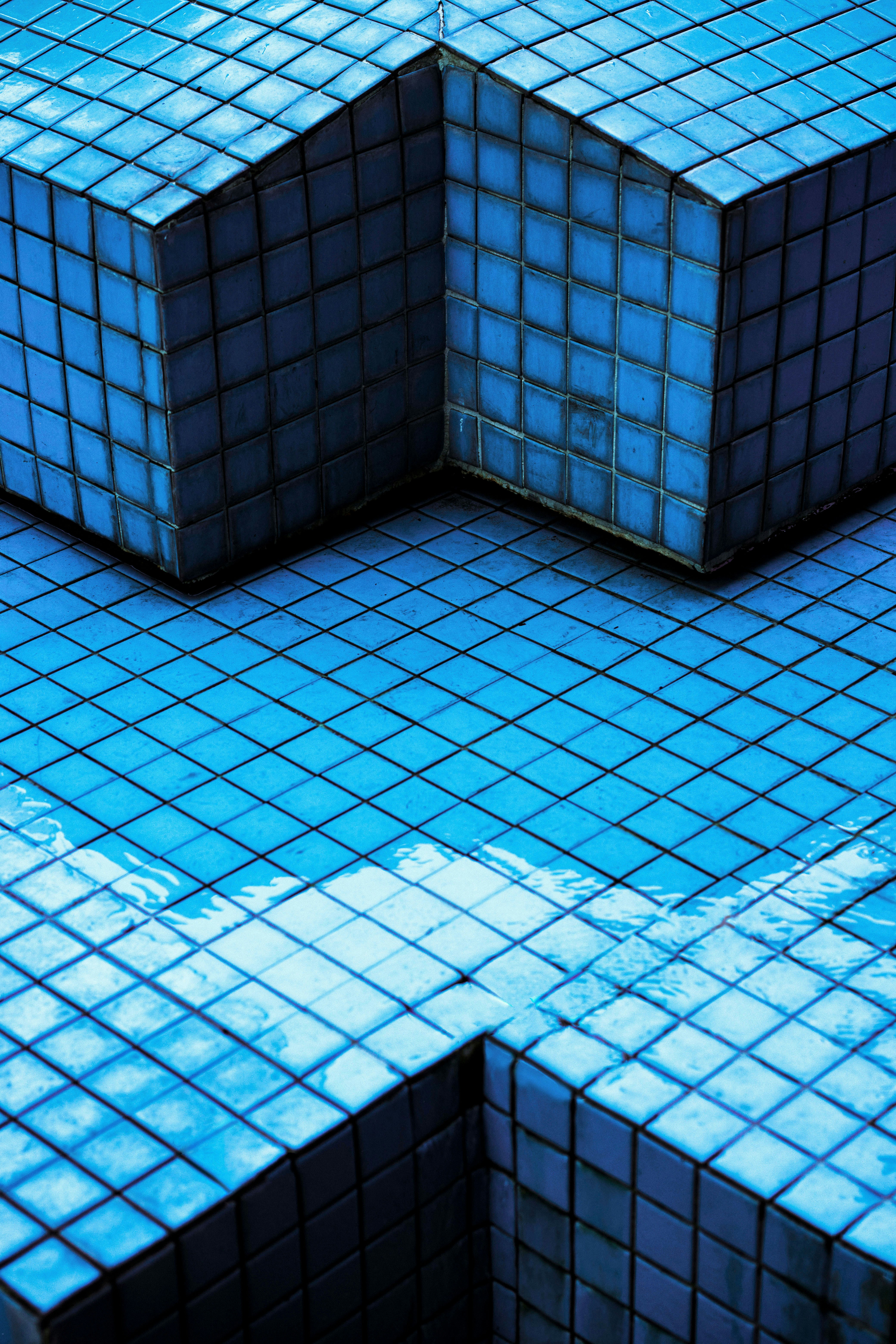 Un grupo de azulejos azules sentados en la parte superior de un piso