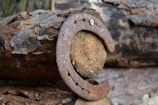 A rusty horseshoe is resting on a rough piece of wood with peeling bark. The texture of the wood and the rust on the horseshoe convey a sense of age and wear. The background is blurred, drawing focus to the horseshoe.