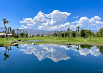 a golf course with a pond and palm trees