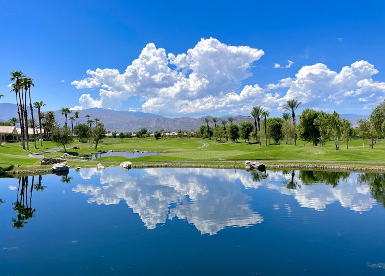 a golf course with a pond and palm trees