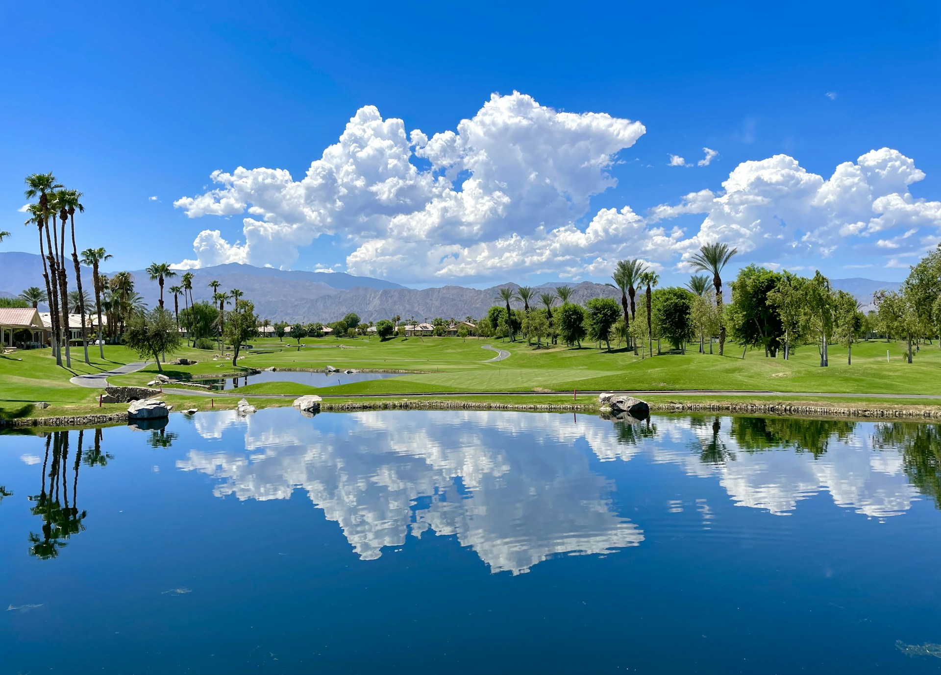 a golf course with a pond and palm trees