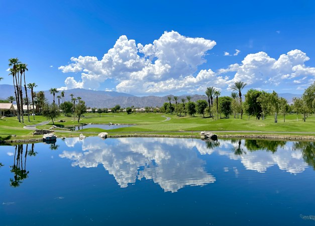 A golf course fairway with a pond and palm trees under a bright sky, the kind of view a golf frontage lot in Henderson offers