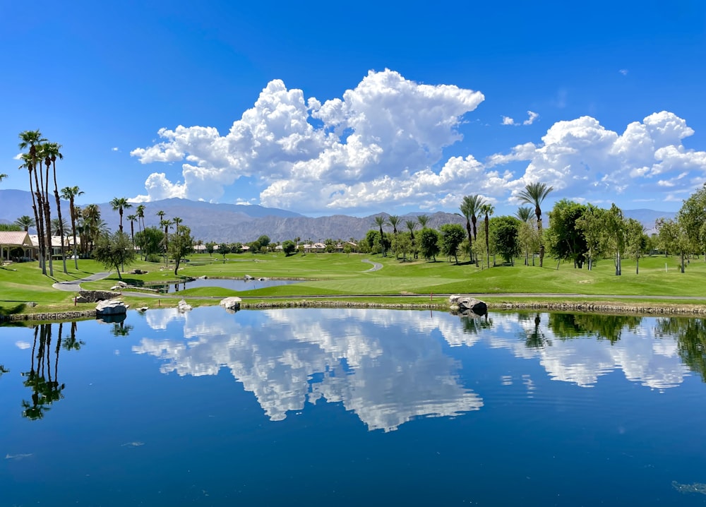 a golf course with a pond and palm trees