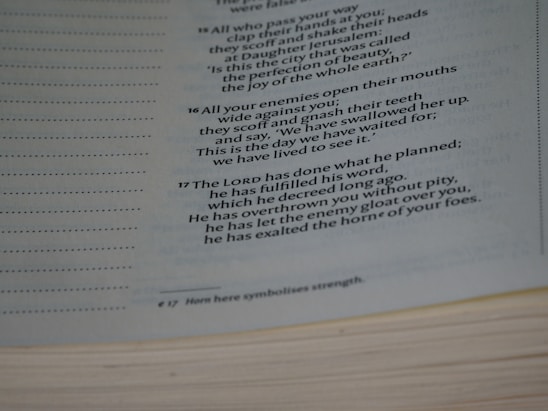 Text from a book, with a passage likely from a religious or spiritual context. The text includes verses numbered 16 and 17, talking about enemies, God's planning, and fulfillment of His word. The text also includes a footnote at the bottom.