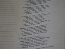 A close-up of a page from a book, featuring text in a poetic or biblical format with numbered sections. The text is focused on themes of comparison, comfort, and false visions. The left margin of the page includes evenly spaced dotted lines.