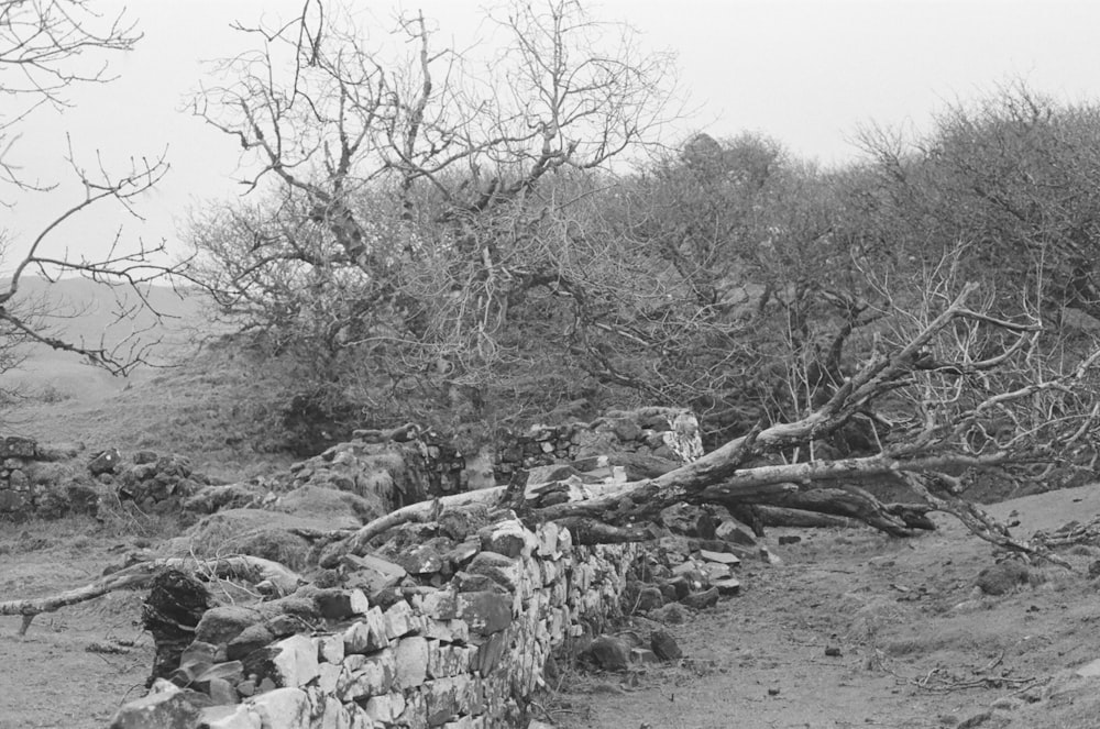 Une photo en noir et blanc d’un mur de pierre