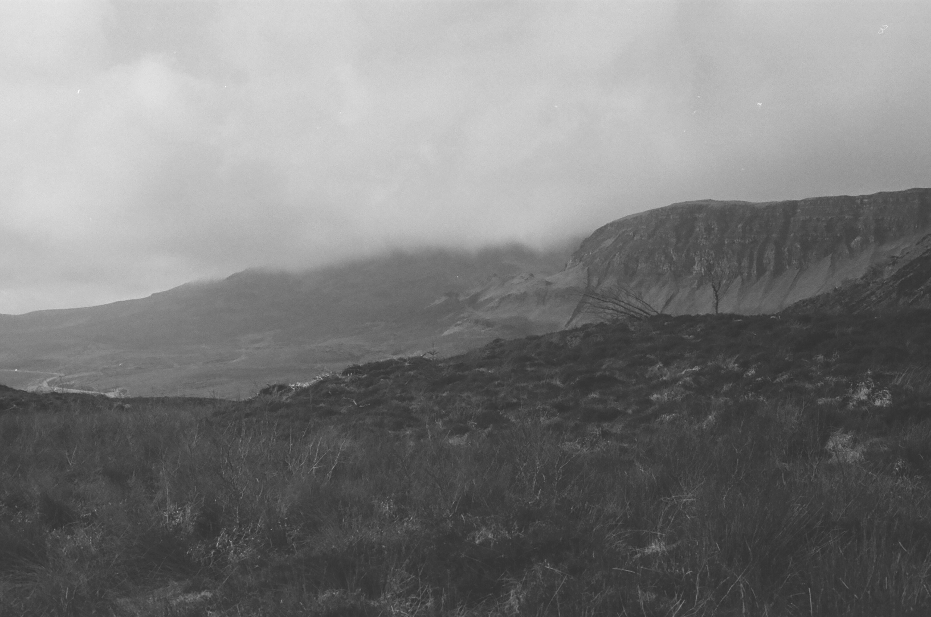 Photo by louissproul