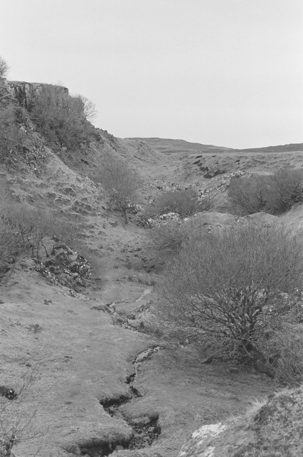 Une photo en noir et blanc d’un paysage désertique