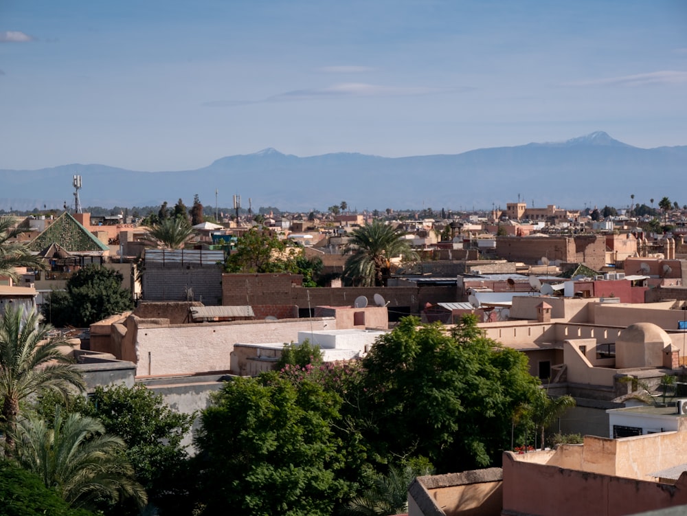 a view of a city with mountains in the background