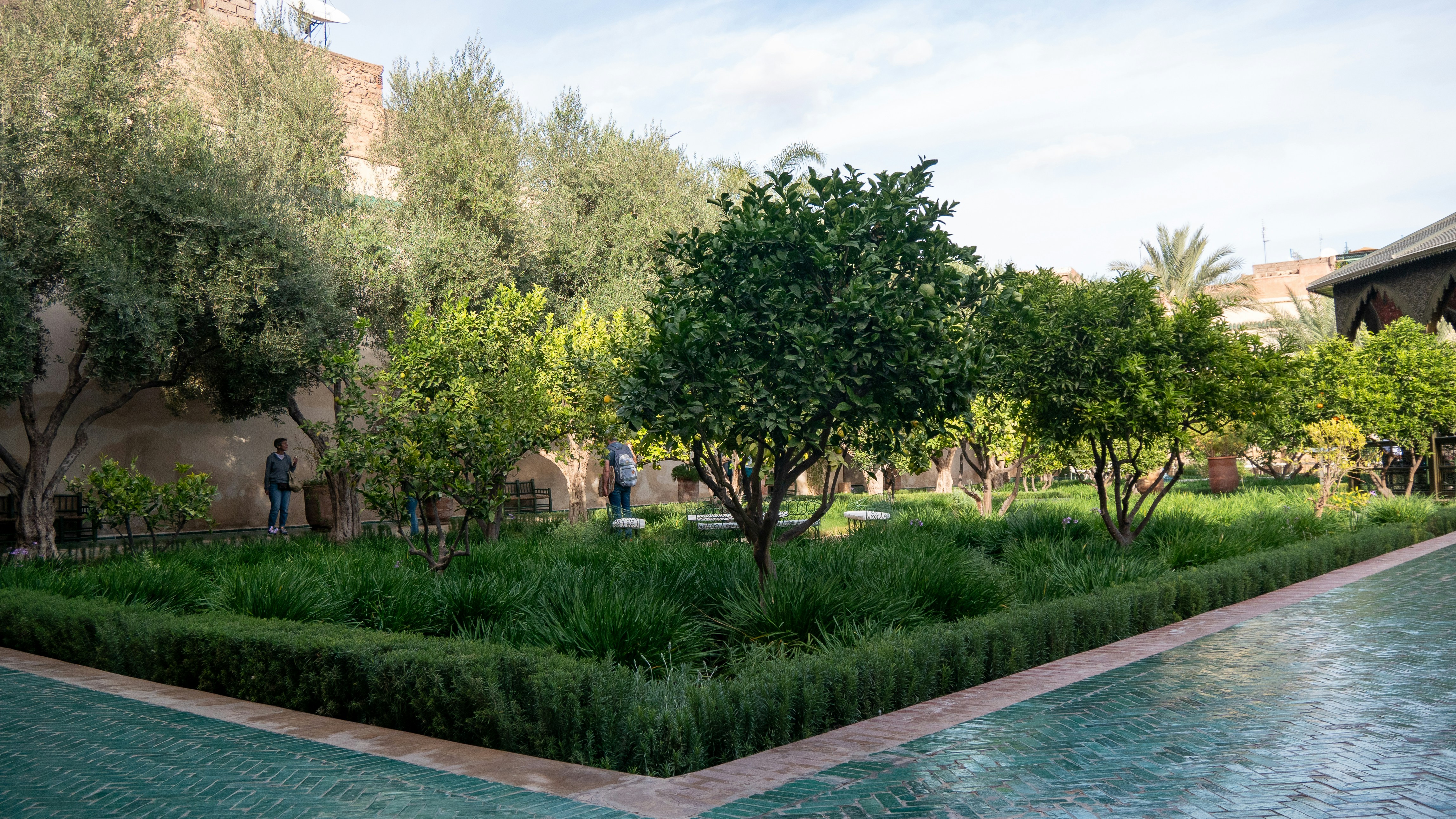 A couple of people standing next to a lush green park