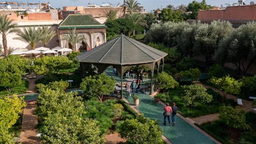 a group of people walking around a lush green park