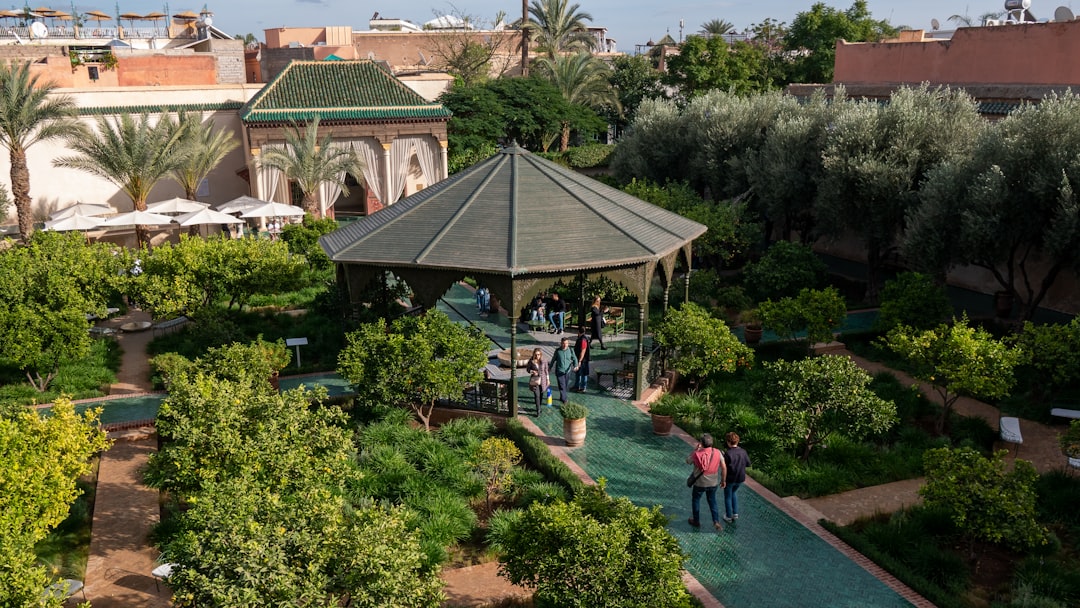 a group of people walking around a lush green park,