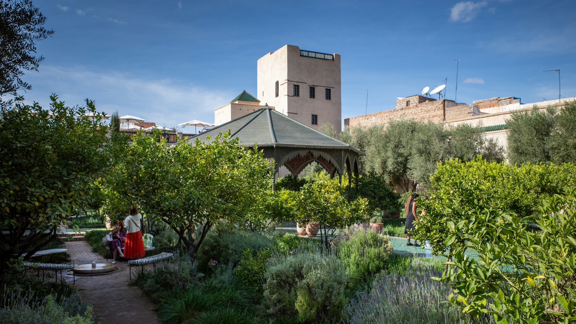 a couple sitting on a bench in the middle of a garden