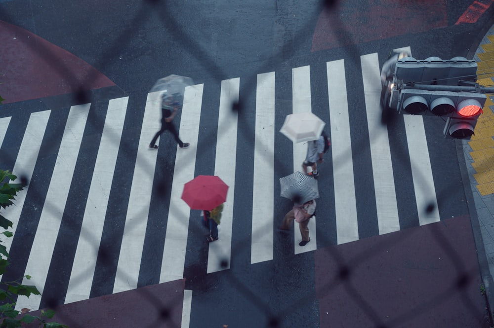 a couple of people walking across a street holding umbrellas
