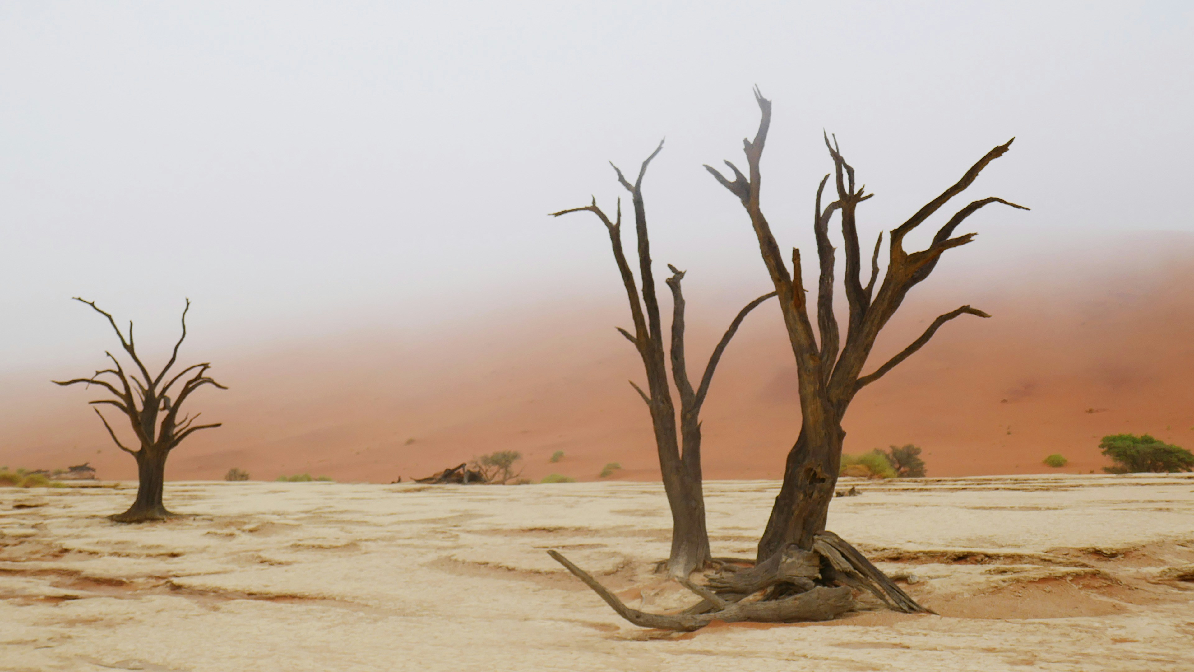 How Amazon Sellers Can Avoid Accidentally Selling Restricted Products