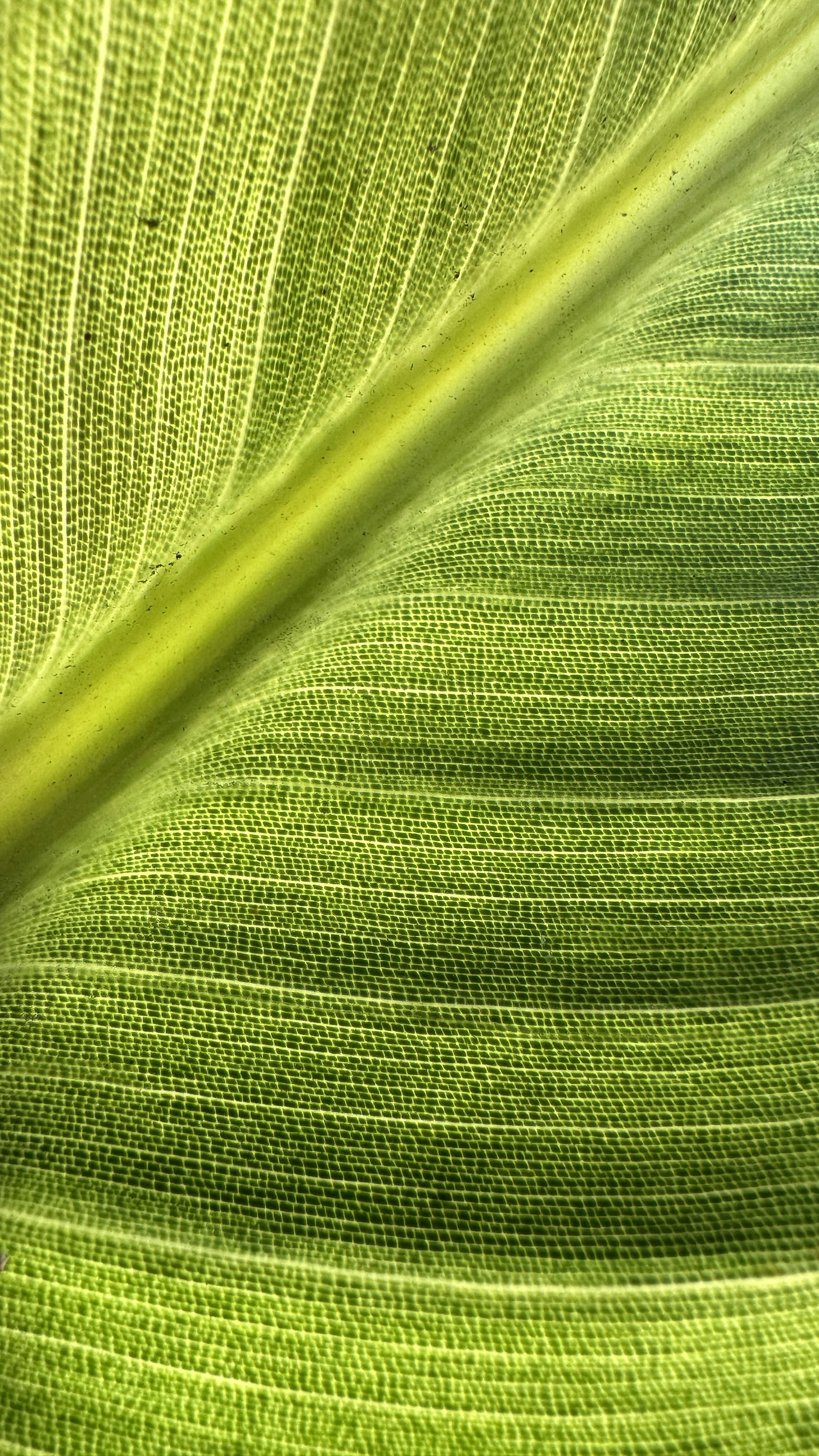 Photo by yigitarisoy