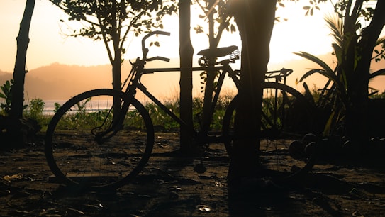 A silhouette of a bicycle is prominently framed against a vibrant sunset. The bicycle is surrounded by trees and plants, with the sun casting a warm glow over a distant body of water and hills on the horizon.