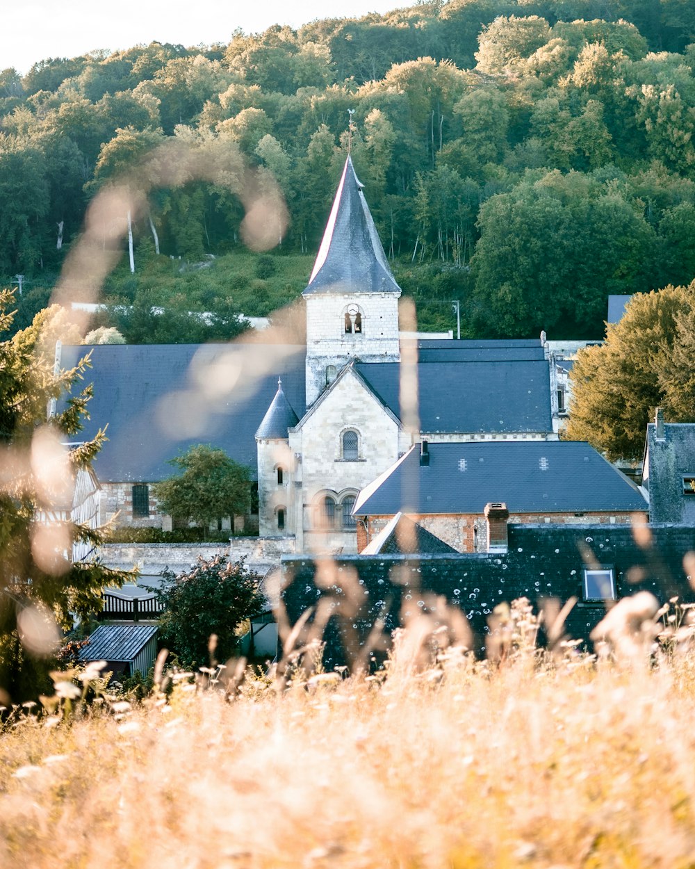 una chiesa con un campanile circondato da alberi