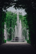 a fountain in a park surrounded by trees