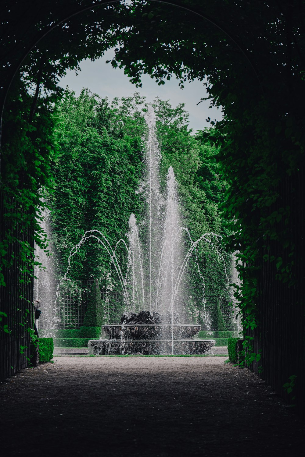 a fountain in a park surrounded by trees