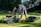 A person is kneeling on a grassy lawn, operating a lawn mower. The person is wearing a dark shirt and khaki pants. The lawn mower is metallic with orange accents and has a grass collection bag attached to it. In the background, there are trees and shrubs providing a lush, green backdrop.