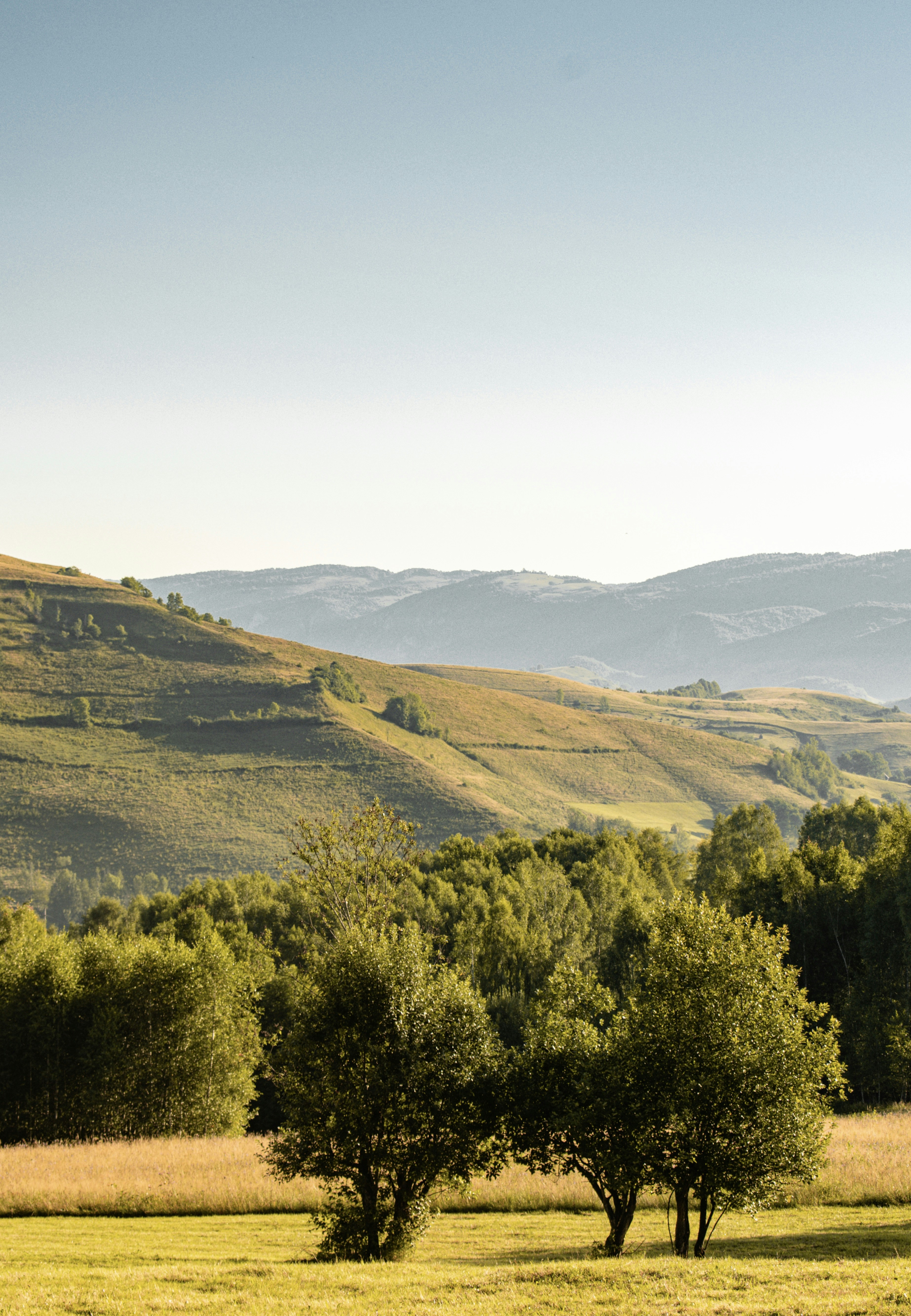 Photo by raluca_cotoara