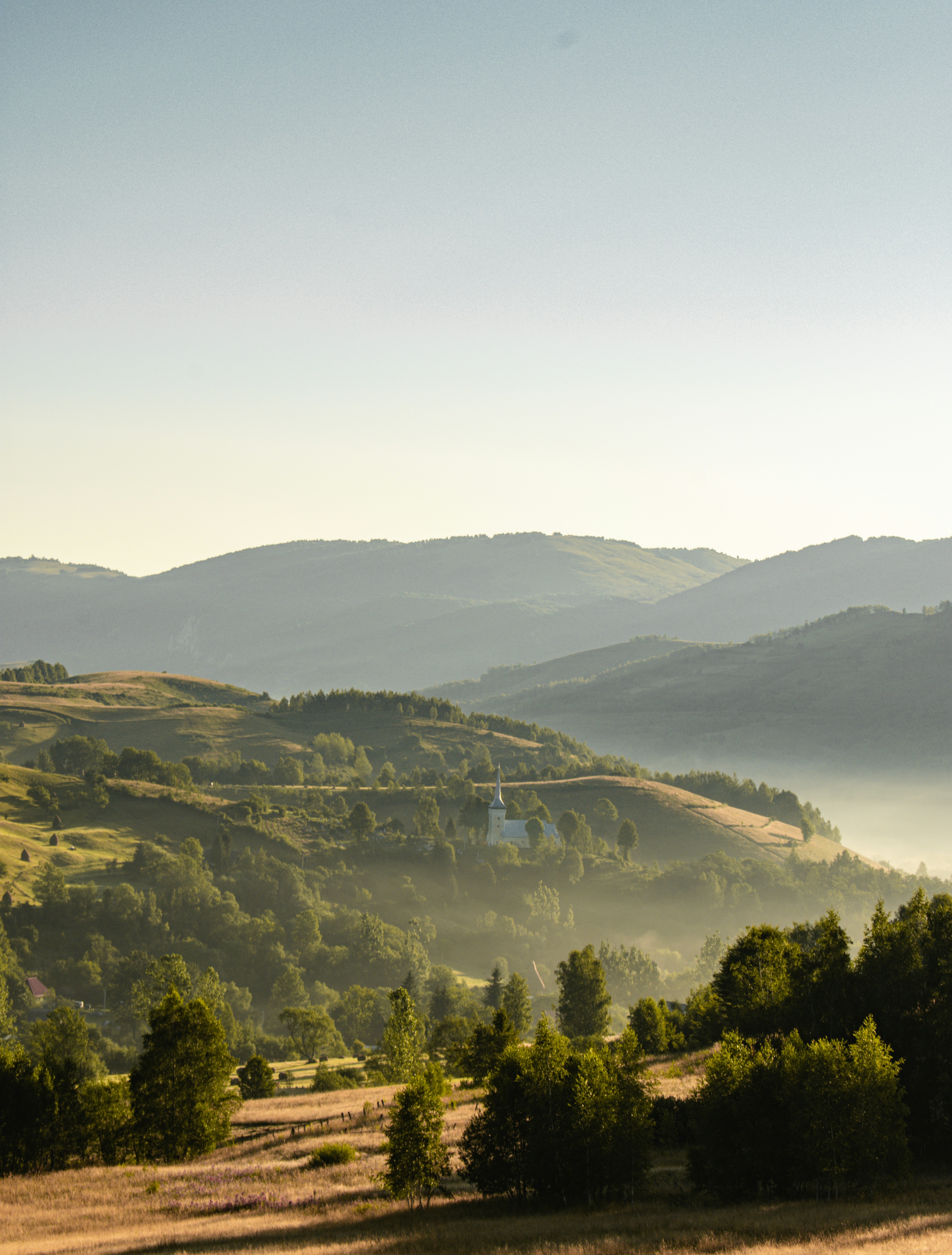 Photo by raluca_cotoara