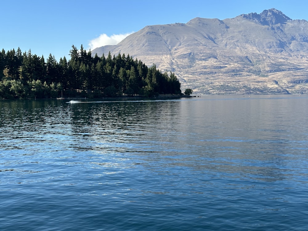 a body of water surrounded by trees and mountains