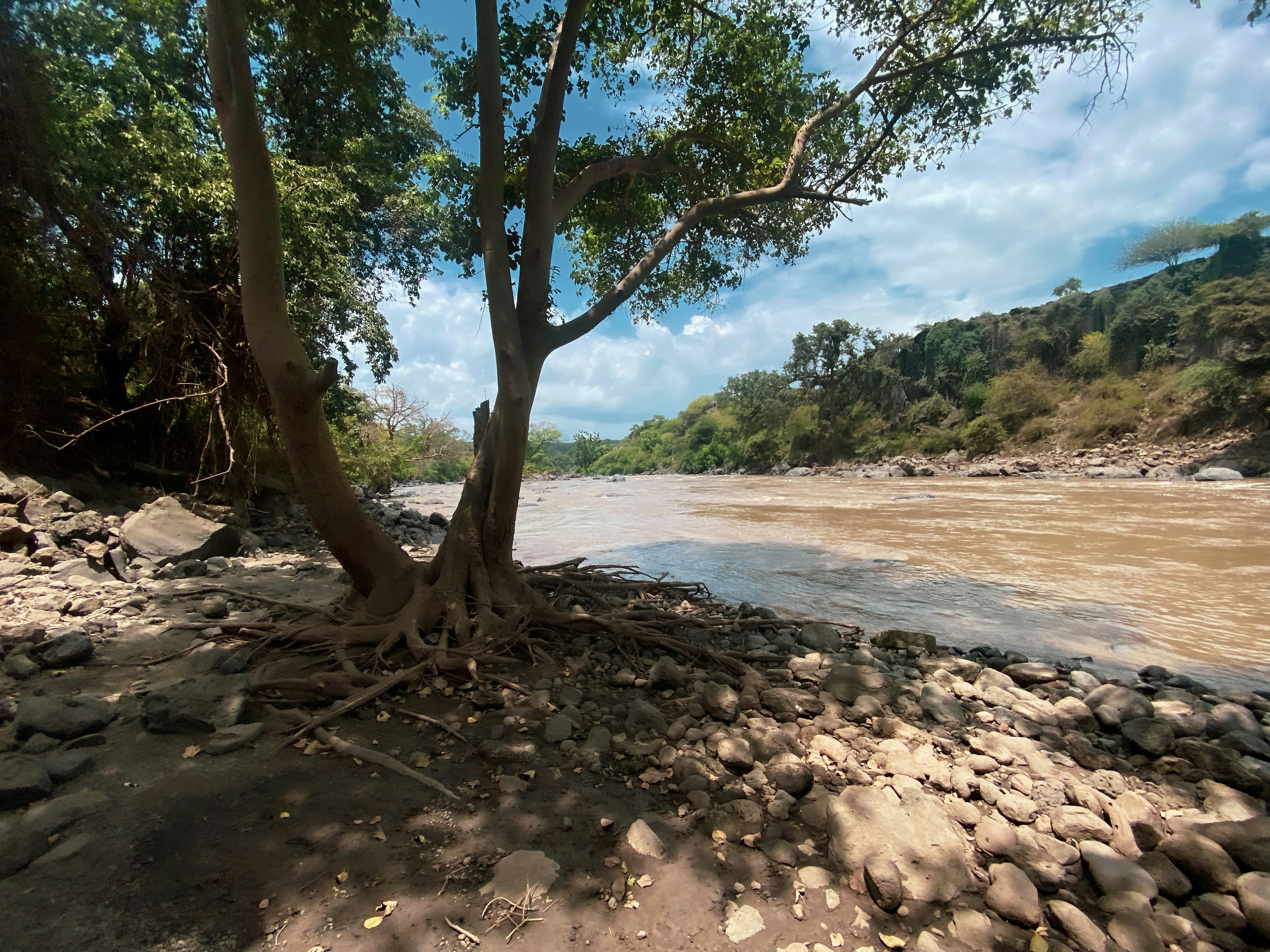 Water scarcity is rarely about physical shortage.