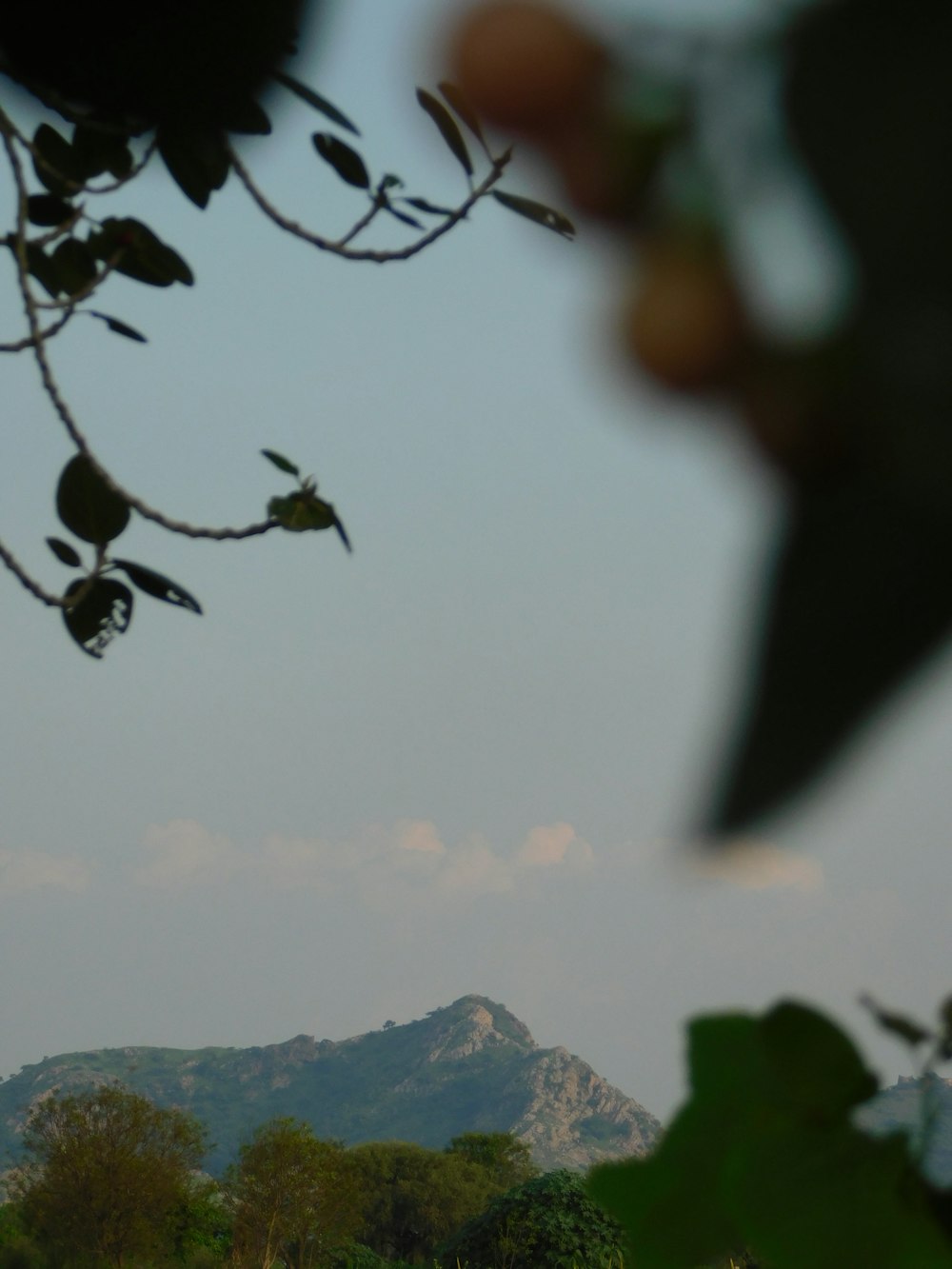 a view of a mountain from a distance